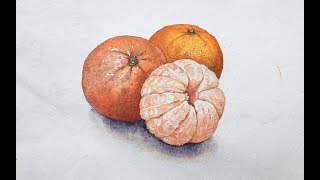 Realistic orange painting in watercolor | Mandarin orange | Still life painting
