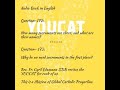 youcat english audio 172 and 173