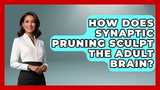 How Does Synaptic Pruning Sculpt The Adult Brain? - Brain Development Hub