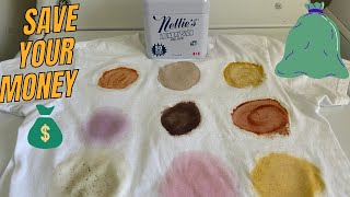 Nellie's Laundry Soda Honest Review 2024 | Stain Test