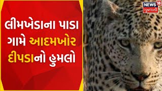 Dahod News : લીમખેડાના પાડા ગામે આદમખોર દીપડાનો હુમલો | Attack | Leopard | Limkheda | Gujarati News