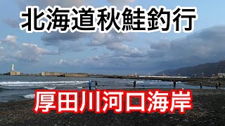 北海道秋サケ釣行　厚田川河口海岸　皆さん、今年の成績はどうでしたか？