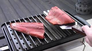 WEBER GO-ANYWHERE GRILL: BEST GRILLED SALMON