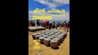 #shorts FISH CHAAKARA #alappuzha #fishing #kadal #seafood മീൻ ചാകര  കണ്ടിട്ടുണ്ടോ?ഇല്ലേൽ കണ്ടോളു.