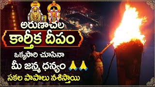 The MIND-BLOWING Arunachalam Karthika Deepam 2024 Experience in Tiruvannamalai!