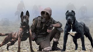 With These Dogs, You Can Survive