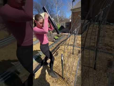 How To Build A Trellis Out Of A Cattle Panel Verticalgardenideas How To Build A Trellis Out Of A Cattle Panel Verticalgardenideas