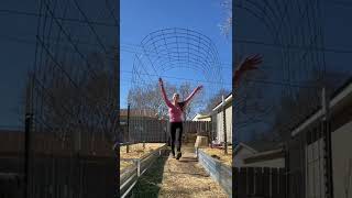 How to build a trellis out of a CATTLE PANEL! #verticalgardenideas #cattlepanel #growfood #gardening