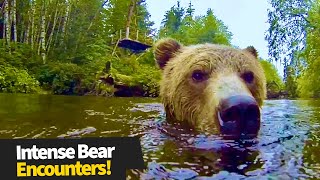 Top 16 Intense Bear Encounters | Wild Bear Compilation