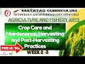 TLE Grade 7 Quarter 2 - AFA Weeks 2-3 :CROP CARE AND MAINTENANCE, HARVESTING AND POST HARVESTING