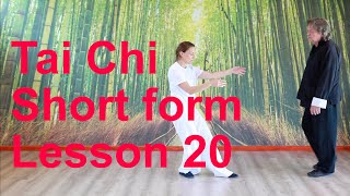 Tai Chi lesson 20