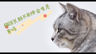 猫咪长期不刷牙会有危害吗