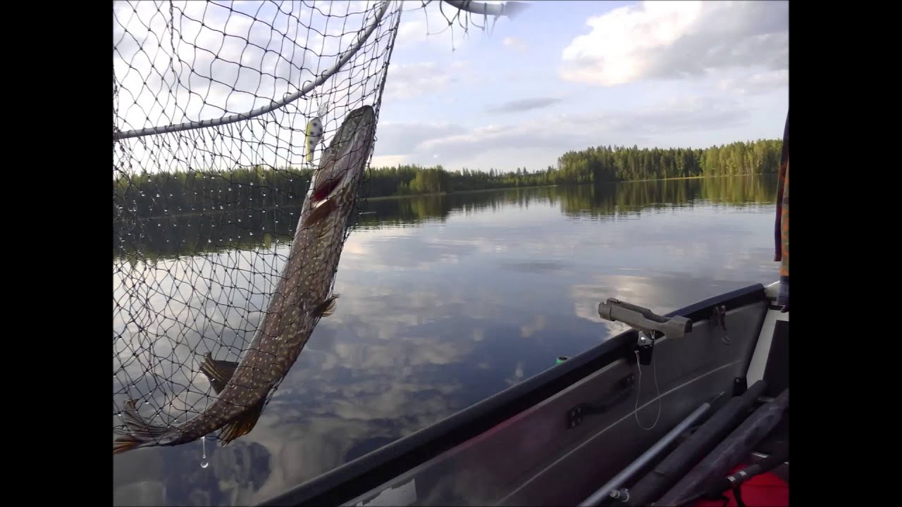 Vetouistelu Laulu Youtube