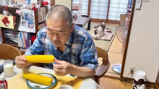 住職。ぼっち朝ごはん。いつもの猫達どこですか。