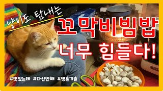 [Rim.C] 감성가득 서해바다 솔로캠핑 / 청산리오토캠핑장 / 꼬막비빔밥 어묵탕 통오징어라면 / 공복주의 / 콜로라도 타고!