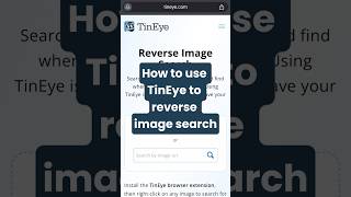 How to Use TinEye to Reverse Image Search