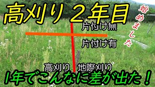 高刈り/地際刈り、片付けあり/なし、でこんなに差が出た！