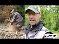 how to attract deer to a small property 3 simple steps