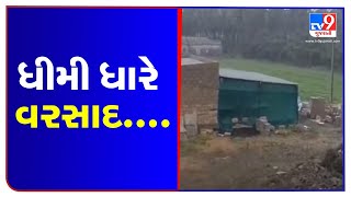 Veraval and nearby regions of Gir somnath receive isolated rainfall | TV9News