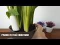 monitor de plantas xiaomi mi flora