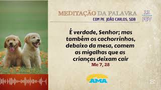 13 de fevereiro - 🚨Meditação da Palavra do Senhor