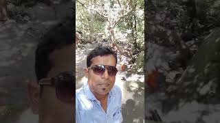 #maa_Asurakumari_waterfall #Nayagarhtourism #waterfalllover #maaasurakumari #youtubeshorts