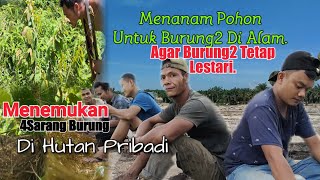 AVIARY ALAM BEBAS,BANYAK BURUNG BERSARANG DAN BERTELUR.!MEREKA LAH ORANG HEBAT,MENJAGA Melestarikan.