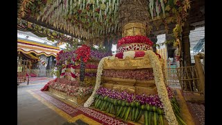 Tirumala Temple Inside Decoration On Ugadi Festival