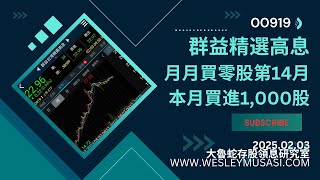 【00919群益台灣精選高息 / 存股領息賺錢】月月買零股第14個月，本月買進=1000股，今日手抖錯過低點！ | 大魯蛇存股領息研究室