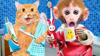 Monkey Baby Bi Bon brushes his teeth in the toilet and eats noodles with Cheese cat