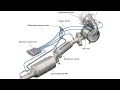 nv350 dpf regenerate process