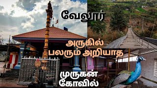 | Thamatakodi Sri Subramaniya Swamy திருக்கோவில் | Hidden Murugan Temple near Vellore | கண்ணமங்கலம்