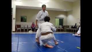 Brian Lee Aikido 5th Kyu Exam