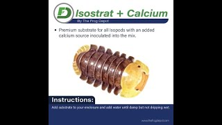 Introducing our new Isopod substrate-IsoStrat