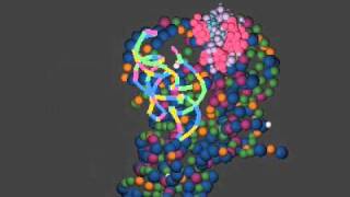 A Glimpse of the RNA World: Ribozyme RNase P Bound with tRNA