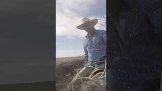 Get'em bouncing ol buddy! See the full video at this link https://members310ranchlife.com #Ranchlife