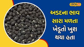 Mehsana | મહેસાણા APMCમાં અડદના કારણે ખેડૂતો થયા ખુશ, એરંડાના ભાવમાં નોંધાયો ઘટાડો | #local18