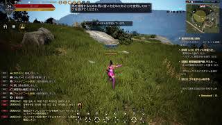 ＜MMORPG＞［黒い砂漠］103 ｛PS4｝ボイス無し　 くの一lv.32 ＆ヴァルキリーlv.40 \u0026ダークナイトlv.55