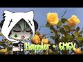 Happier ♤ GMGV ♤ 《Startrack studio》
