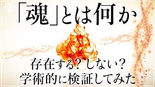 「魂」とは何か？学術的に検証してみた｜羽賀ヒカル×小名木善行