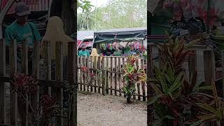 Suasana Desa. Saat masyarakat belanja.. Pasar keliling. Ditempat kalian bagaimana.? Apakah masih ada