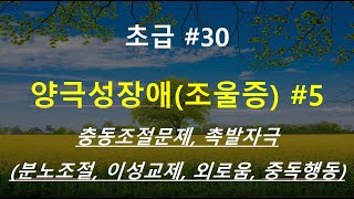 촛불추천 496, [초급 6기] #30, 양극성장애(조울증) #5, 충동조절문제와 촉발자극 (분노장애, 이성교제, 외로움, 공허함, 충동적인 일처리, 일중독) -- 6기7강#05