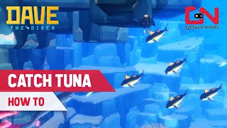 How to Catch Tuna in Dave the Diver - Tuna Location \u0026 Party Event