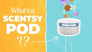 What is a Scentsy Pod and what makes them great for home fragrance?