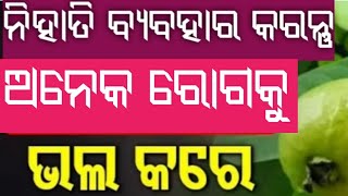 ପିଜୁଳି ପତ୍ର ର୍ ବହୁତ କିଛି ଉପକାରିତା ନିହାତି ଜାଣନ୍ତୁ #Adityafood and vlogs