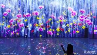 flower with nature- interactive immersive room