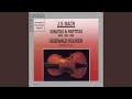 Partita for Solo Violin No. 1 in B Minor, BWV 1002: II. Correnta