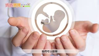 懷孕Q\u0026A．未足月破水｜媽媽寶寶MOM TV