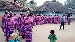 সাড়পা এনেচ রিয়ালসেল ভিডিও#santali#vlog#sdmandi🌹