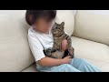 女の子が初めて子猫に会いに来たら仲良くなりすぎてまさかのこうなっちゃいました…笑